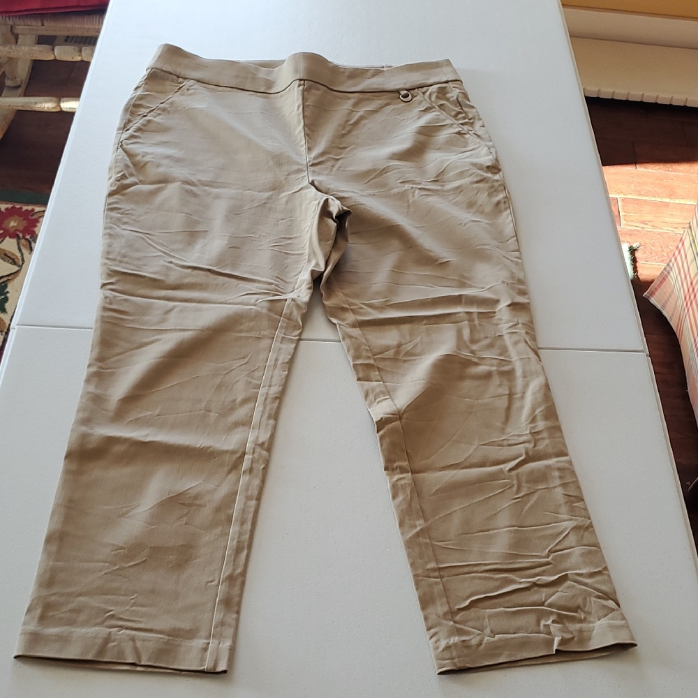Rafaella Light Brown Pants
